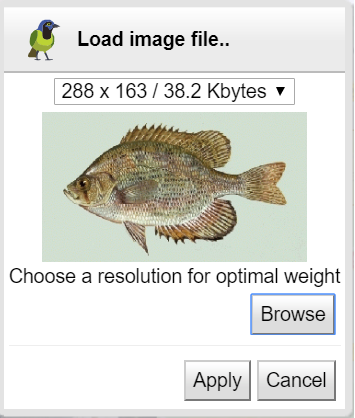 Image file load panel