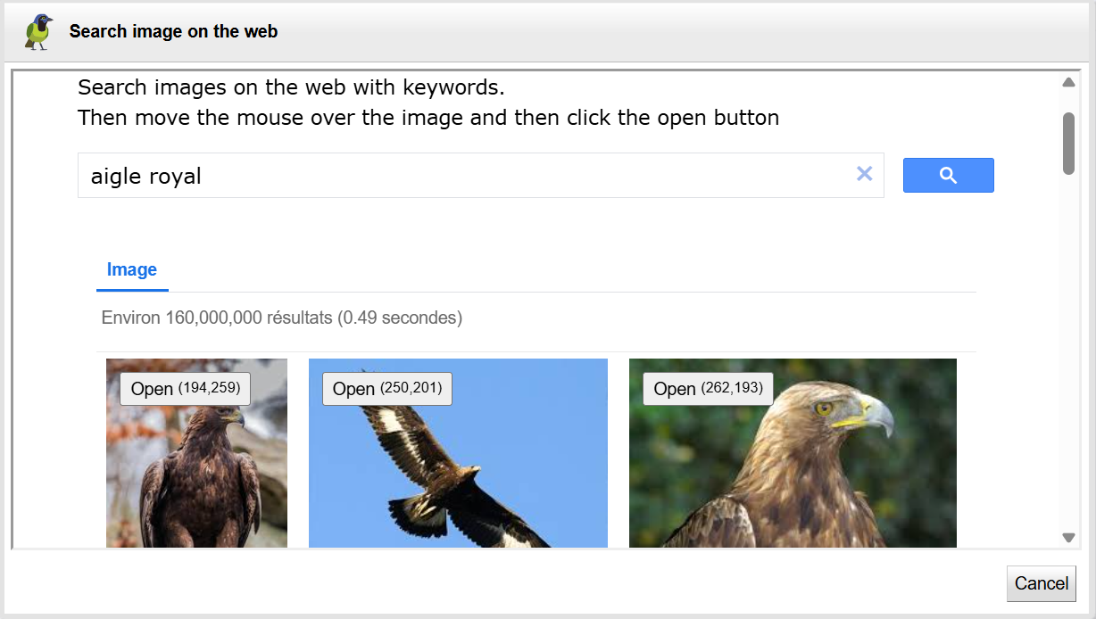 Image search WEB panel